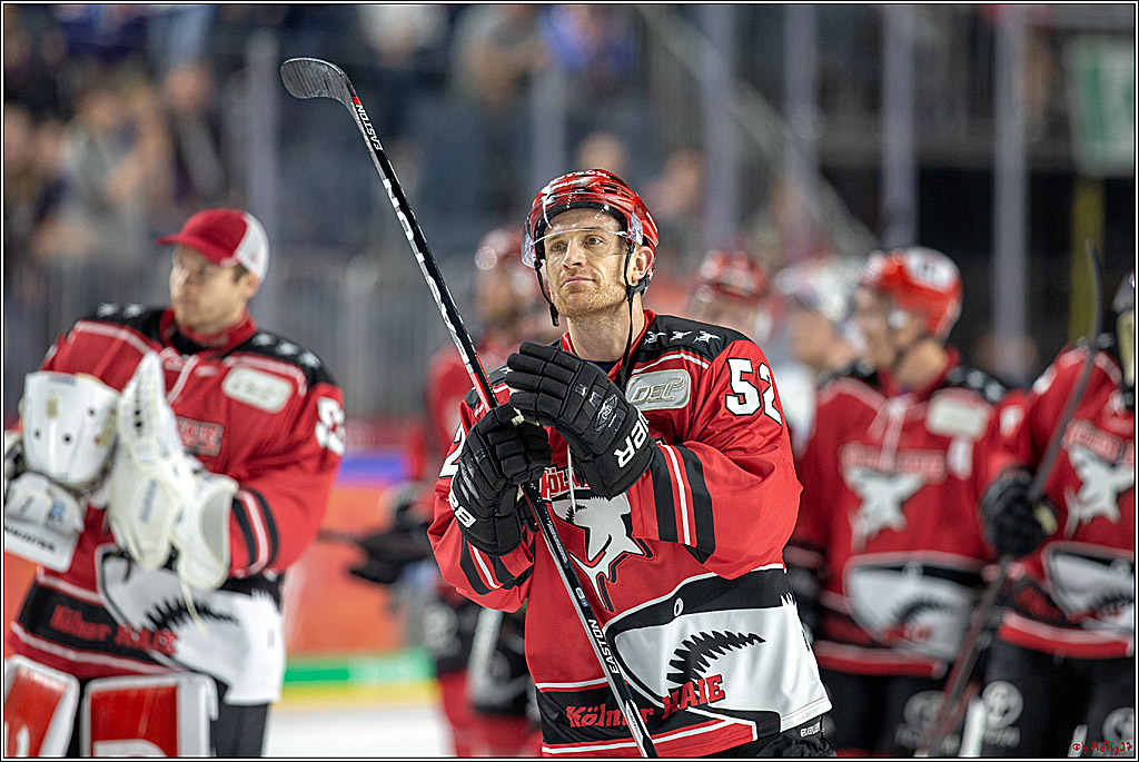 DEL; Koelner Haie - Adler Mannheim, 14.10.2018
